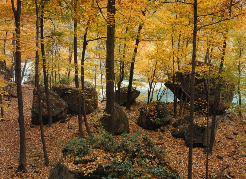 Niagara Glen Boulders