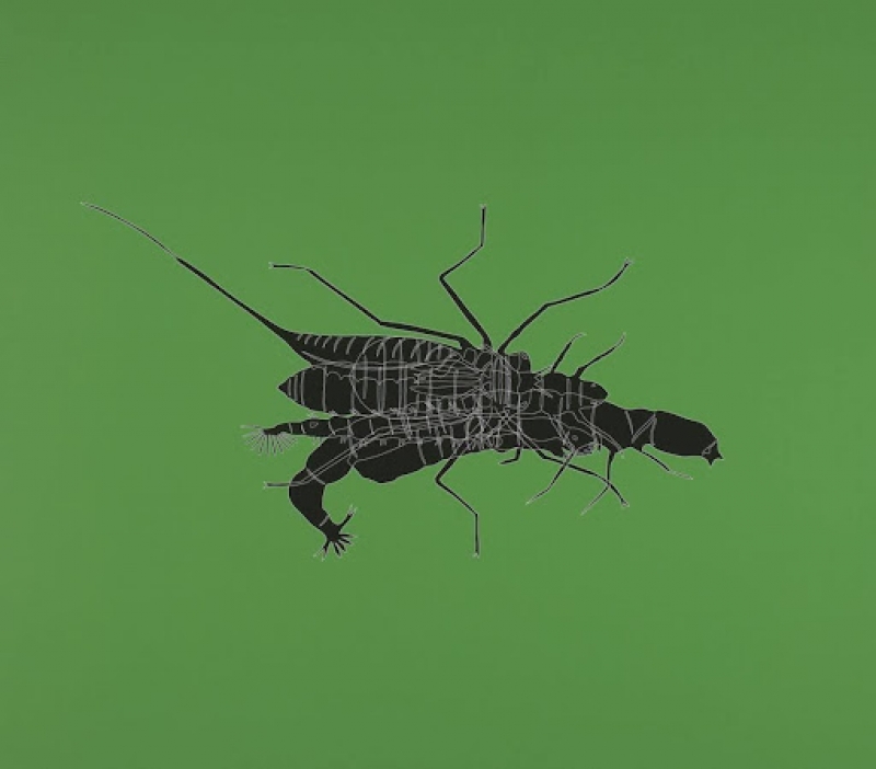 Untitled (Insect Drawing)