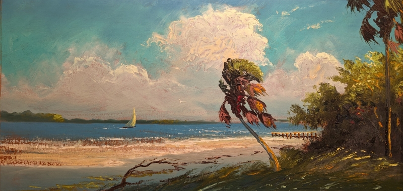Untitled [Single Palm Tree]