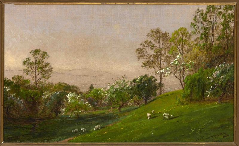 Landscape with Sheep