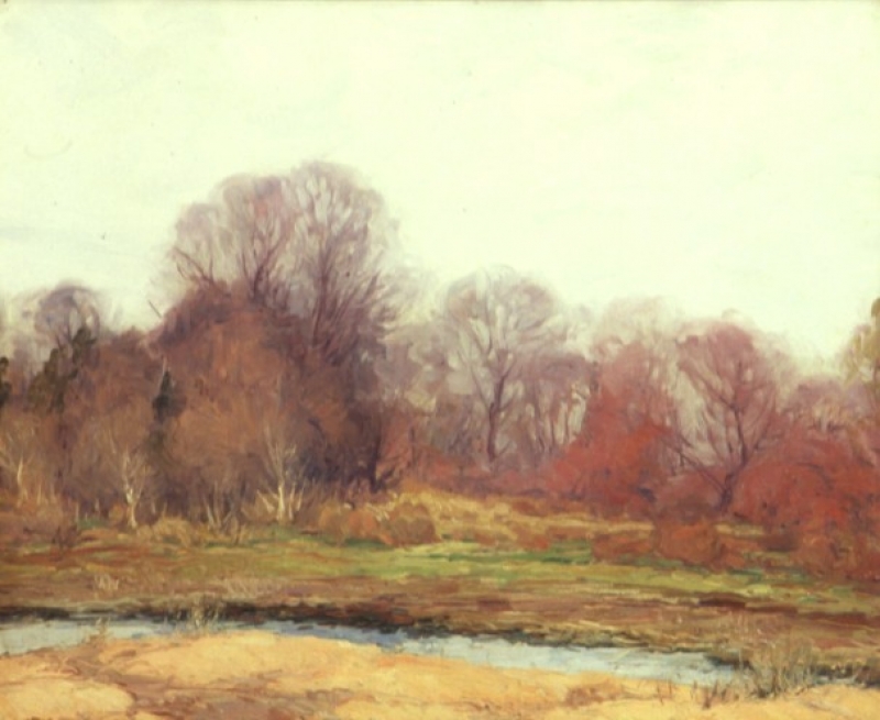 Spring Landscape