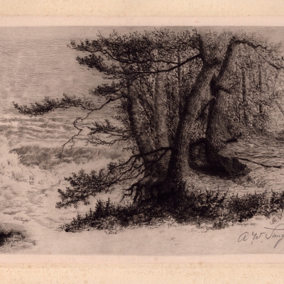A Glimpse of the Rapids above American Falls, from Goat Island, 1887