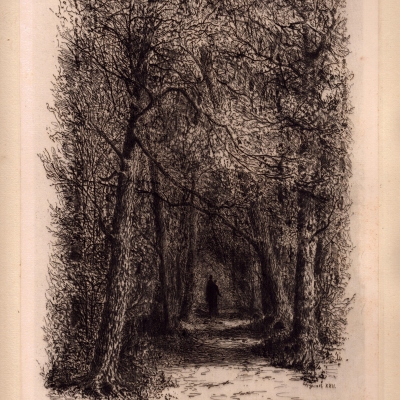 The Lover's Walk, Goat Island, 1887